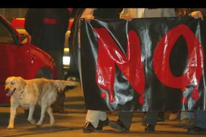 Un perro acompañó a la manifestación.