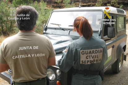 Personal de la Junta de Castilla y León y del Seprona investigando las causas del incendio. GUARDIA CIVIL