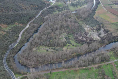 Meandro del río Sil cerca de Salas de la Ribera y Sobredo. FERNÁNDEZ LOZANO