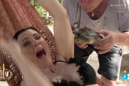 Momento en que Maria José Ruiz es mordida por una tortuga.