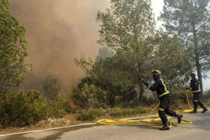 El incendio de Els Cubells (Eivissa), junto a la carretera.