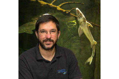 Carlos Vicente, conservador del acuario de Zaragoza, posa en la zona de cuarentena del recinto. javier cebollada