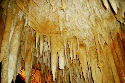 Estalagmitas, estalactitas o cordones transparente forman esta paisaje bajo tierra. CASTRO