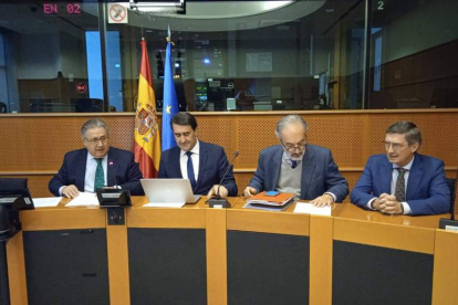 Un momento de la intervención de Suárez-Quiñones ante el Parlamento Europeo. DL