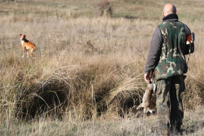La temporada de caza menor levanta el domingo el telón en la provincia. RAMIRO