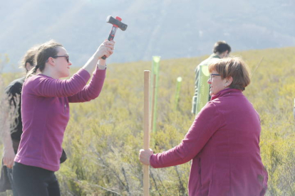 Dos voluntarias trabajan en la plantación de árboles. L. DE LA MATA