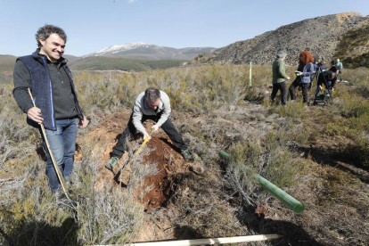 El proyecto solo cuenta con especies arbóreas autóctonas. L. DE LA MATA