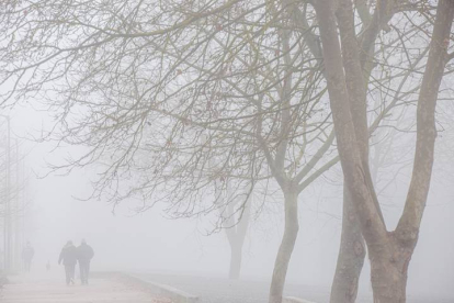 Una pareja pasea entre la niebla. DAVID AGUILERA