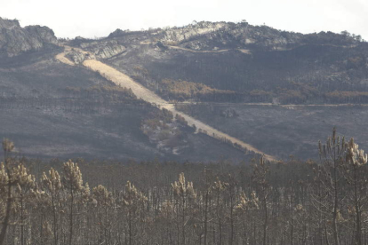 Desolador paisaje tras el fuego que en 2012 arrasó casi 12.000 hectáreas. JESÚS F. SALVADORES