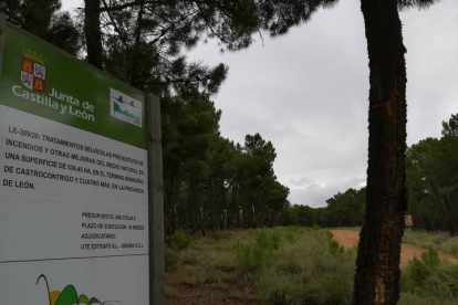 Junta y Estado han invertido más de 15 millones de euros en la restauración ambiental de la zona. DL