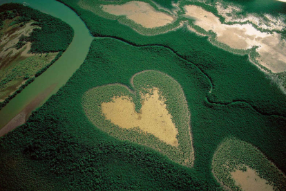 Espectacular imagen aérea de un manglar de Nueva Caledonia con forma de corazón, foto que se expondrá en León.