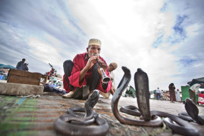 Los encantadores de serpientes son uno de los reclamos más atendidos por los turistas.