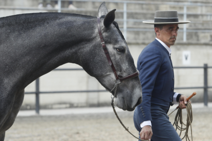 Feria del Caballo de Camponaraya. L. DE LA MATA