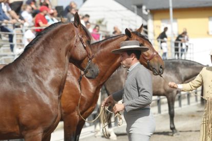 Feria del Caballo de Camponaraya. L. DE LA MATA