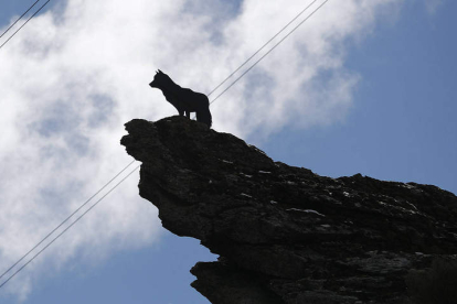Escultura a un lobo en el alto de la montaña en Buiza de Gordón. JESÚS F. SALVADORES