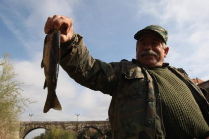 Truchas autóctonas de calidad todavía se pescan en muchos ríos leoneses. jesús