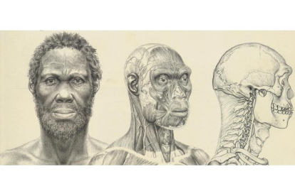 La fisionomía del Homo sapiens surgió en el este de África. NATURE