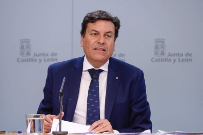 El consejero de Economía de la Junta, Carlos Fernández Carriedo. NACHO GALLEGO