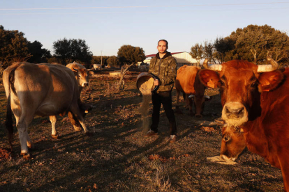 Alejandro Gutiérrez entre sus vacas en Pobladura. FERNANDO OTERO