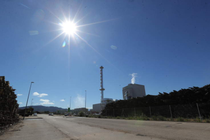 Madera apilada y parte de las instalaciones de la planta de producción eléctrica mediante biomasa de Cubillos del Sil. ANA F. BARREDO
