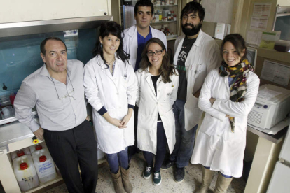 Arsenio Fernández junto a su equipo de investigación en la Universidad de León.