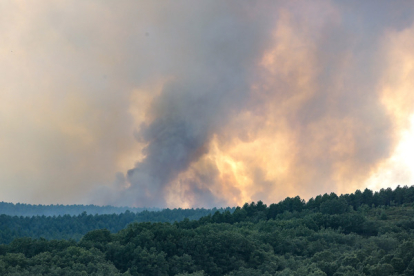 El incendio del Curueño se lleva por delante más de 100 hectáreas de arbolado. CAMPILLO