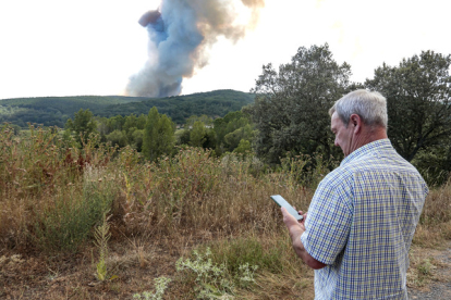 El incendio del Curueño se lleva por delante más de 100 hectáreas de arbolado. CAMPILLO