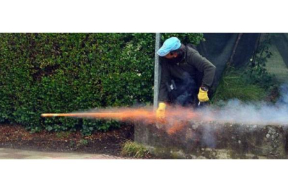 Un minero lanza un cohete en una de las calles de San Román de Bembibre. César Sánchez