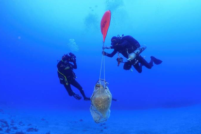 Imagen de los arqueólogos submarinos griegos extrayendo las vasijas encontradas. M. C. GRECIA