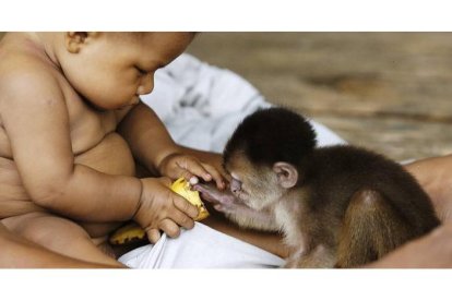 Imagen de una exposición fotográfica multimedia, con trabajos del venezolano Antonio Briceño y de Lorant. ATTILA LORANT