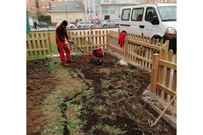 Trabajos de preparación de los terrenos para la siembra. DL