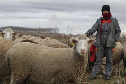 Una ganadera en una explotación ovina en León