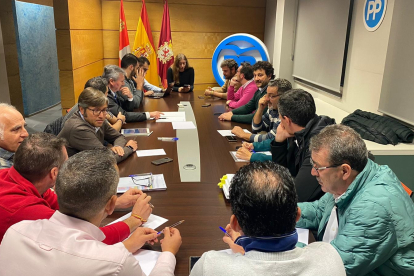 Reunión de la presidenta del PP de León con los representantes comarcales. P.I.