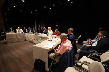Imagen del Pleno celebrado ayer en la sala Río Selmo. ANA F. BARREDO