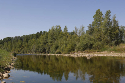 El río Bernesga constituye una lengua de agua fresca que se clava en la retina de los paseantes y ciclistas que
aprovechan su senda paralela de tierra y zahorra, con bancos y luces.