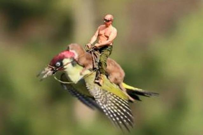 Putin, a pecho descubierto, sustituye a la comadreja en esta imagen.