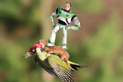 Buzz Lightyear, encantado, volando con el carpintero.