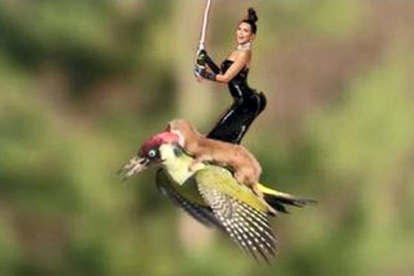 Kim Kardashian, descorchando champán, a lomos del picudo.