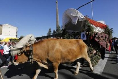 Romería de San Froilán