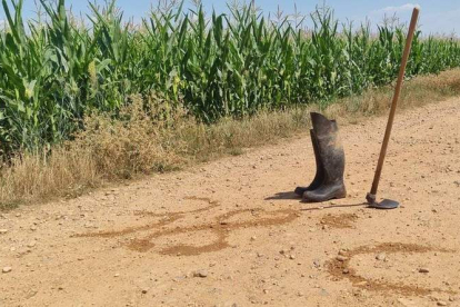 El alma de la segunda foto ganadora ha cautivado al jurado. JAVIER PÉREZ