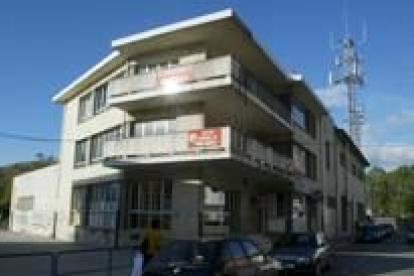 Las plantas de marihuana intervenidas estaban en macetas en el bar del edificio sindical de Bembibre