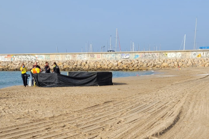 Miembros de la Guardia Civil y Mossos d'Esquadra cercan en perímetroMiembros de la Guardia Civil y Mossos d'Esquadra cercan el perímetro. AYUNTAMIENTO DE TARRAGONA