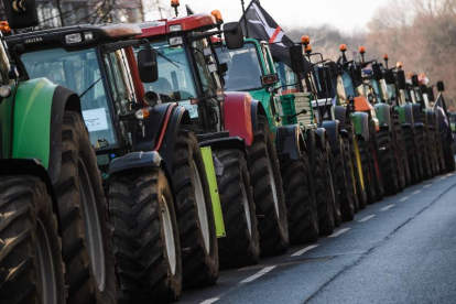 Tractores en una protesta sectorial. efe