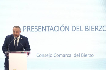 Gerardo Álvarez Courel, presidente del Consejo Comarcal de El Bierzo. BENITO ORDÓÑEZ