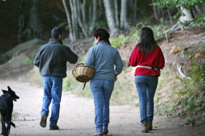 Una familia sale a buscar setas por el Montseny.