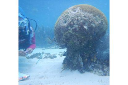 Un experto revisa arrecifes en costas de Puertos Morelos.