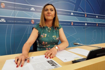 La vicesecretaria general del PSOE de Castilla y León, Virginia Barcones. R. GARCÍA