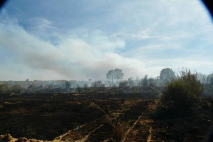 Fotos del incendio en Villaobispo de Otero | Francisco J. Aparicio