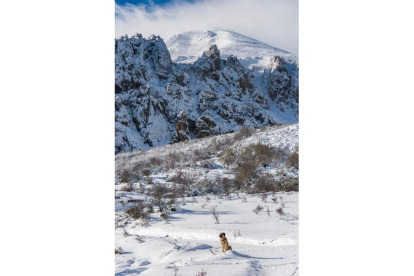 'La montaña y su guardián'. J. GARCÍA