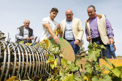 El consejero de Agricultura, Ganadería y Desarrollo Rural, Jesús Julio Carnero, visita el cultivo de la alubia en la provincia de León. Junto a él, el presidente de Asaja en Castilla y León, Donaciano Dujo